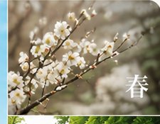春の庭