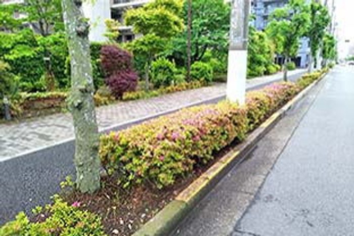 公共施設の除草事例